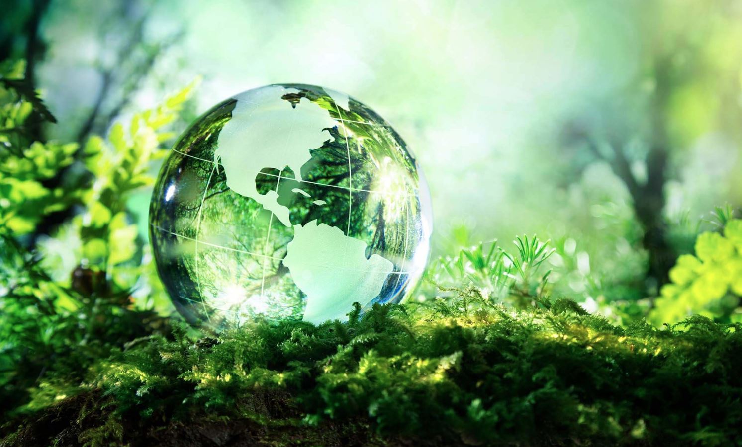 The Global Pulse of Environmental Awakening