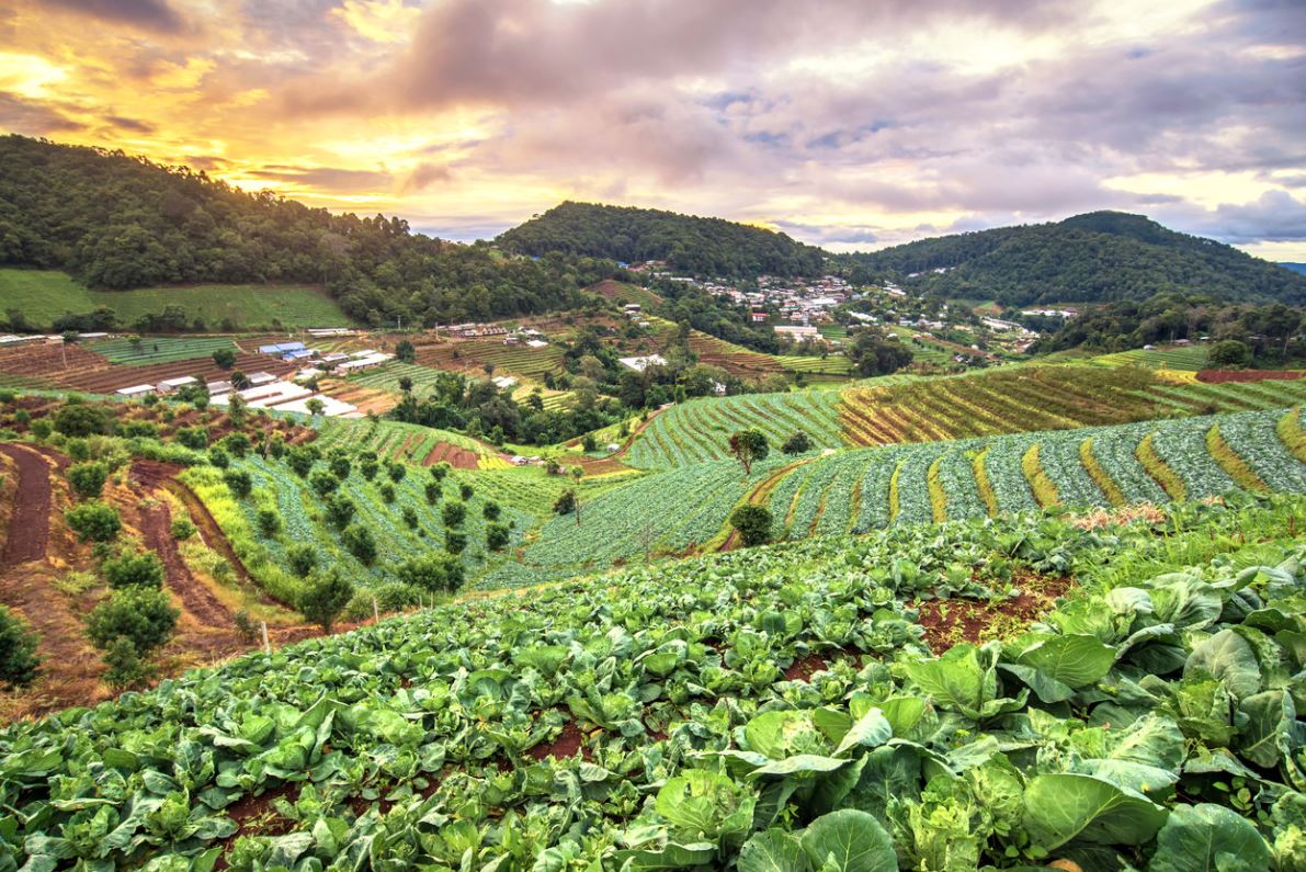 Harvesting the Future with Balance and Care