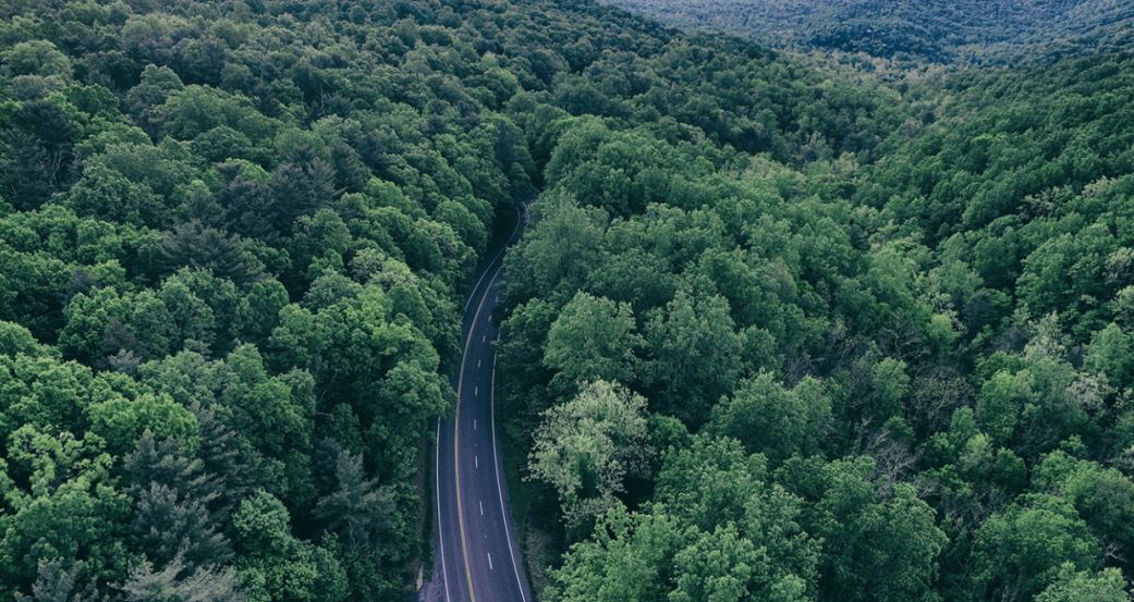When Policy Becomes the Language of the Planet